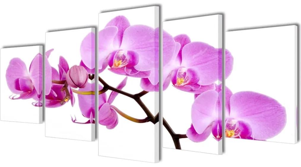vidaXL Sada obrazov na stenu, motív Orchidea 200 x 100 cm