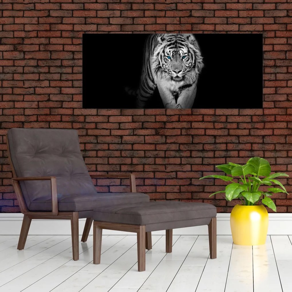 Obraz - Tiger s modrými očami (120x50 cm)