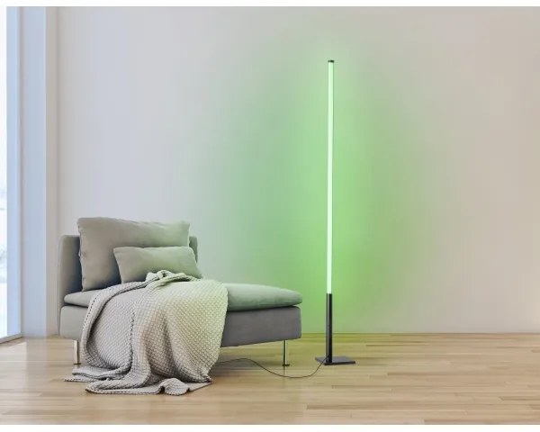 Eglo 75654 - LED RGB Stmievateľná stojacia lampa LED/13,5W/230V 2700-6500K + DO