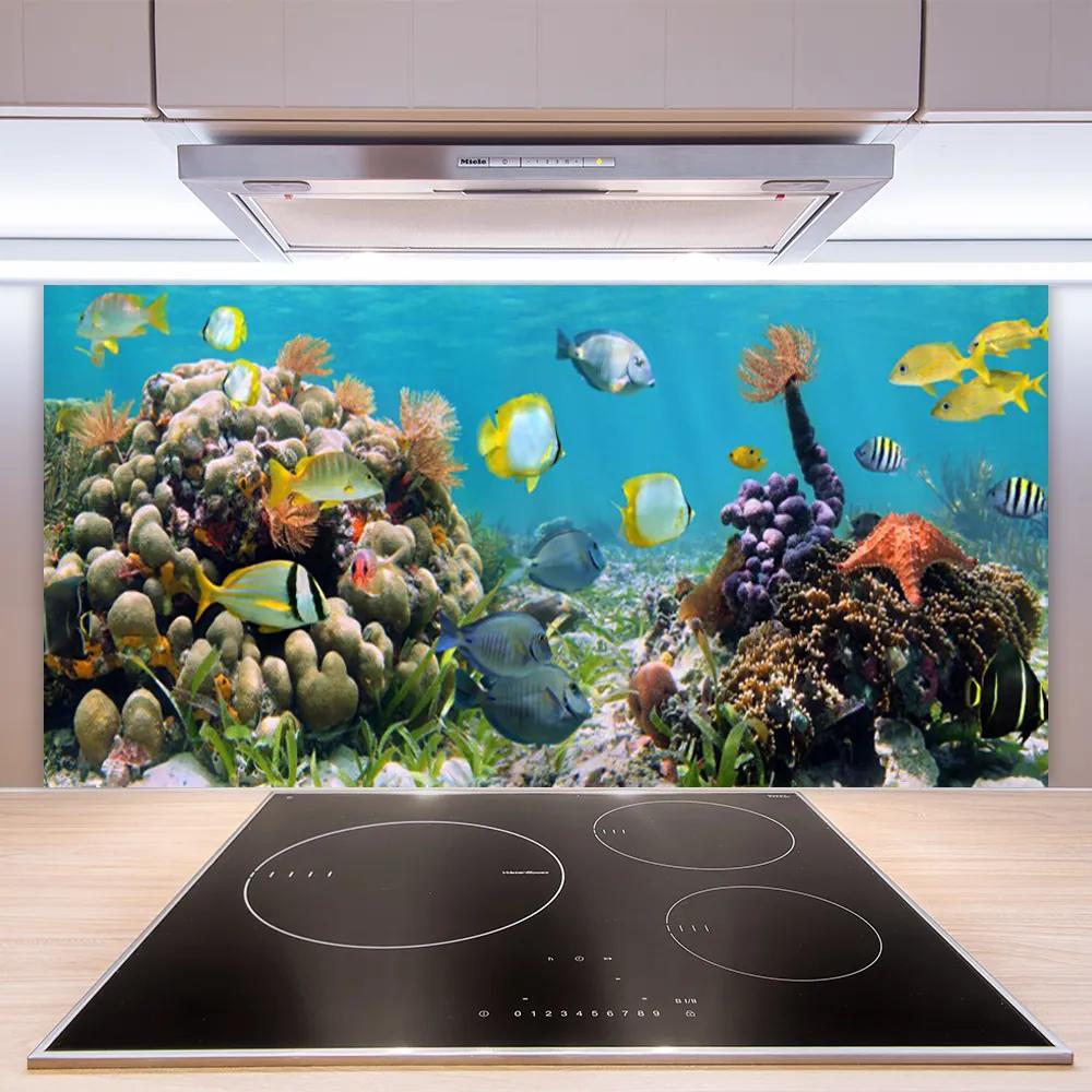 Nástenný panel  Koralový útes príroda 140x70 cm