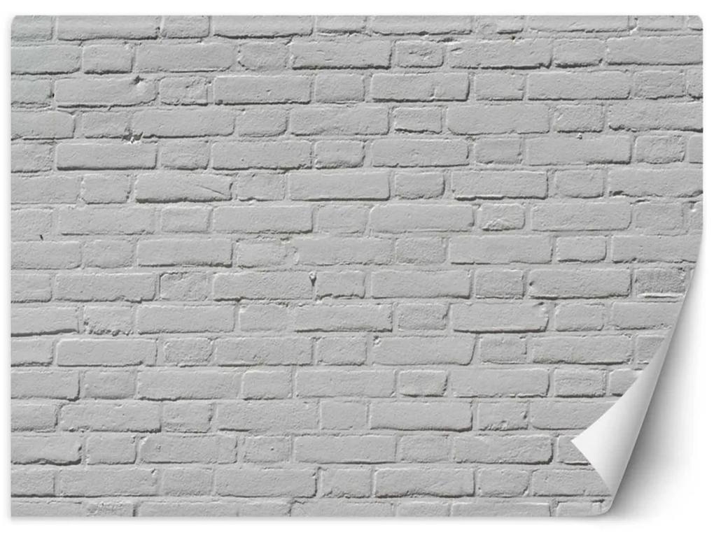 Fototapeta, Bílá cihlová kamenná zeď - 100x70 cm