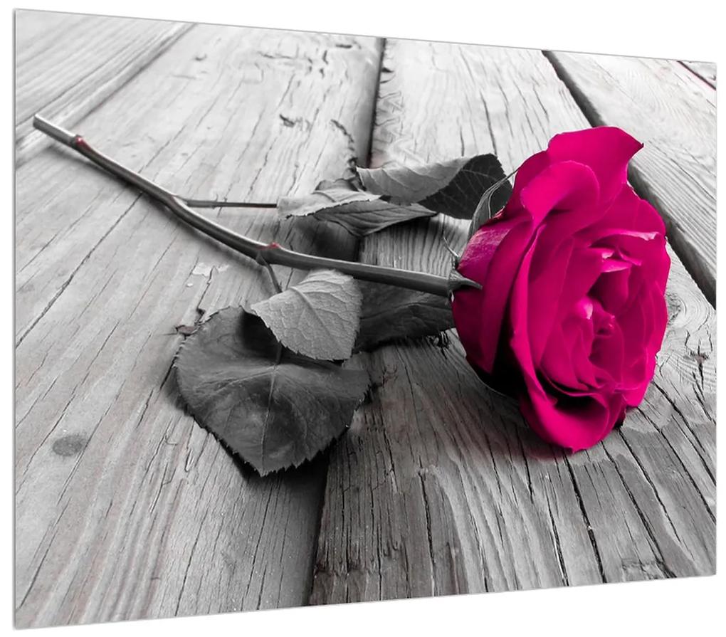 Obraz ružovej ruže (70x50 cm)