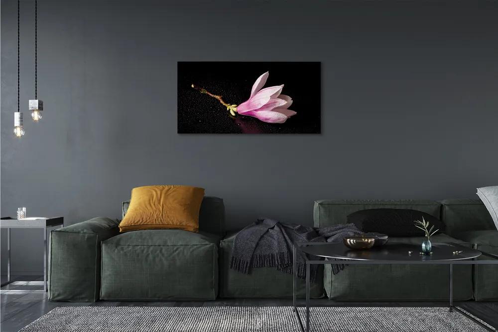 Obraz canvas kvetina voda 140x70 cm