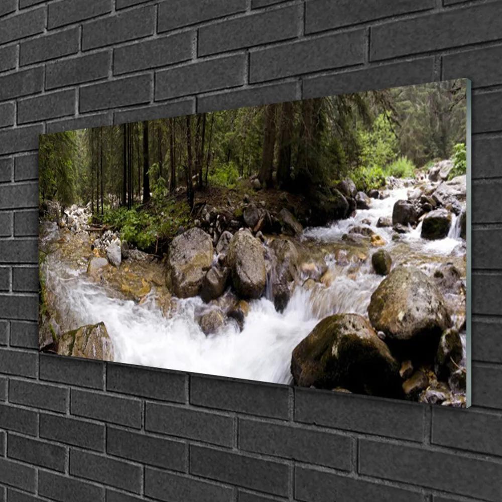 Skleneny obraz Les rieka vodopády 125x50 cm
