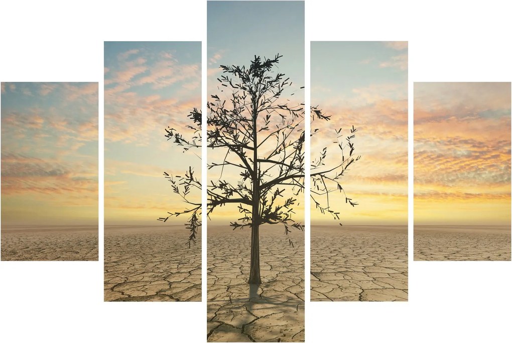 Obraz - Strom na púšti (150x105 cm)