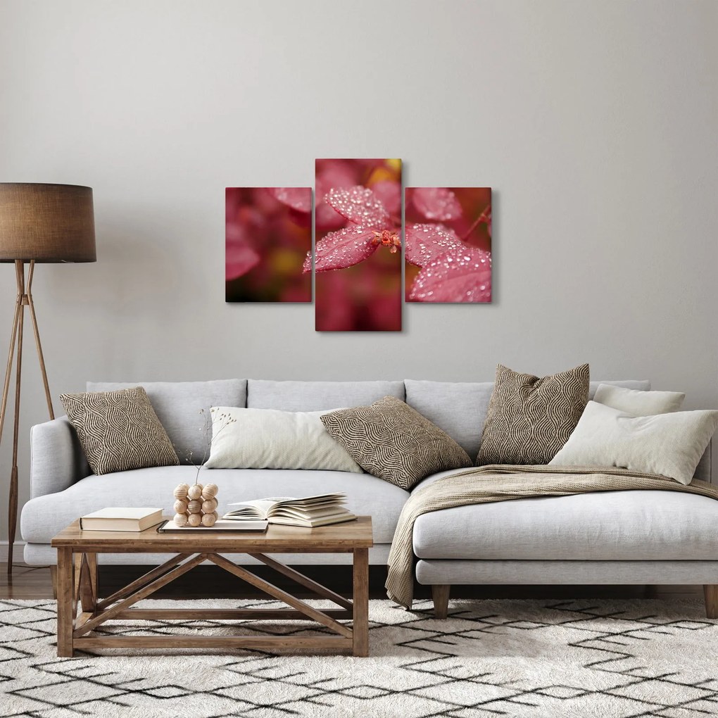 Obraz - Makro snímka lístka (90x60 cm)