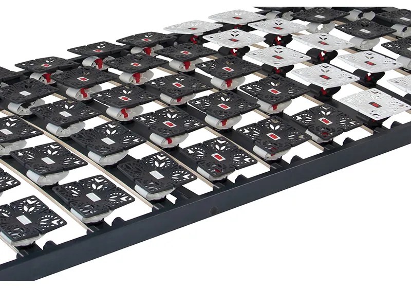 Ahorn VARION MOTOR RADIO LUXUSNÝ TANIEROVÝ ROŠT