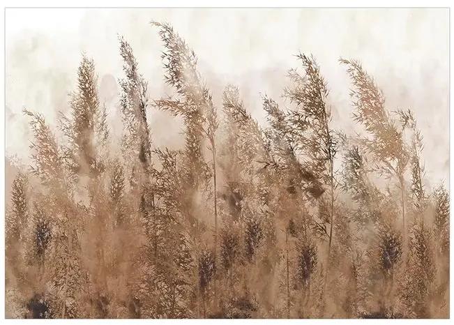 Samolepiaca fototapeta - Tall Grasses - Brown Veľkosť: 147x105, Verzia: Samolepiaca