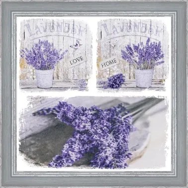 Rámovaný obraz 40x40 cm FAP515%