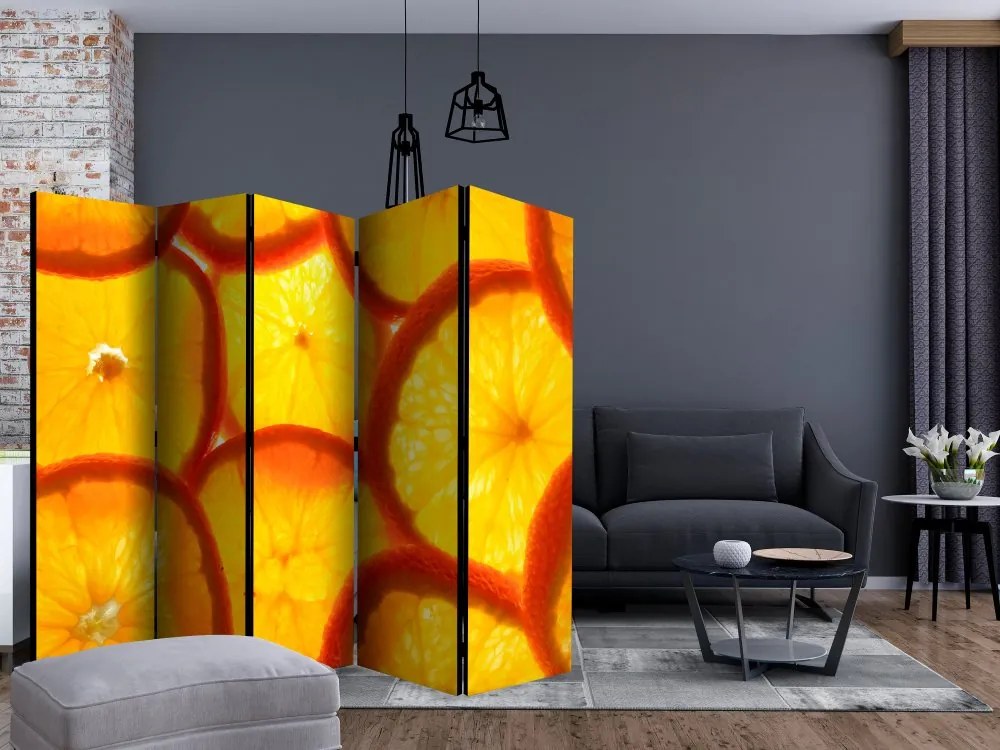Artgeist Paraván - Orange slices [Room Dividers]