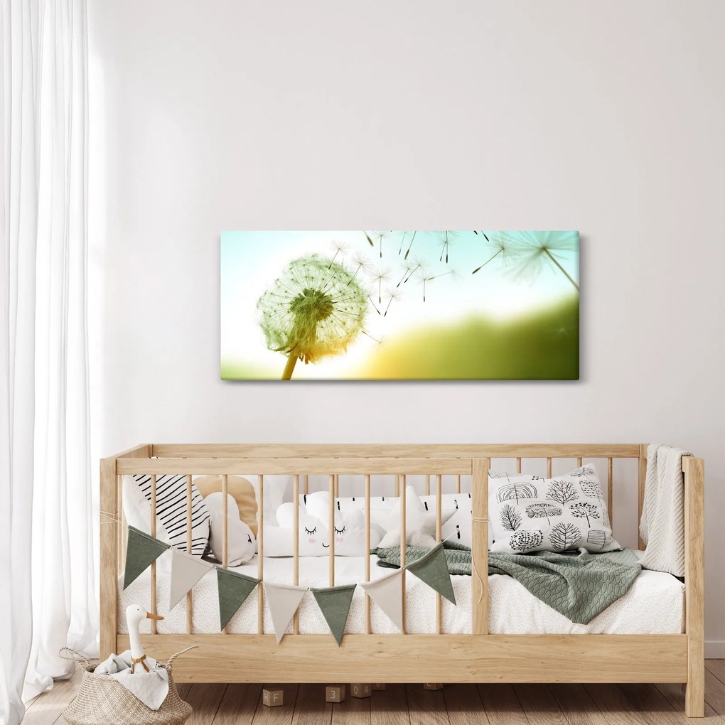 Obraz - Púpava vo vetre (120x50 cm)