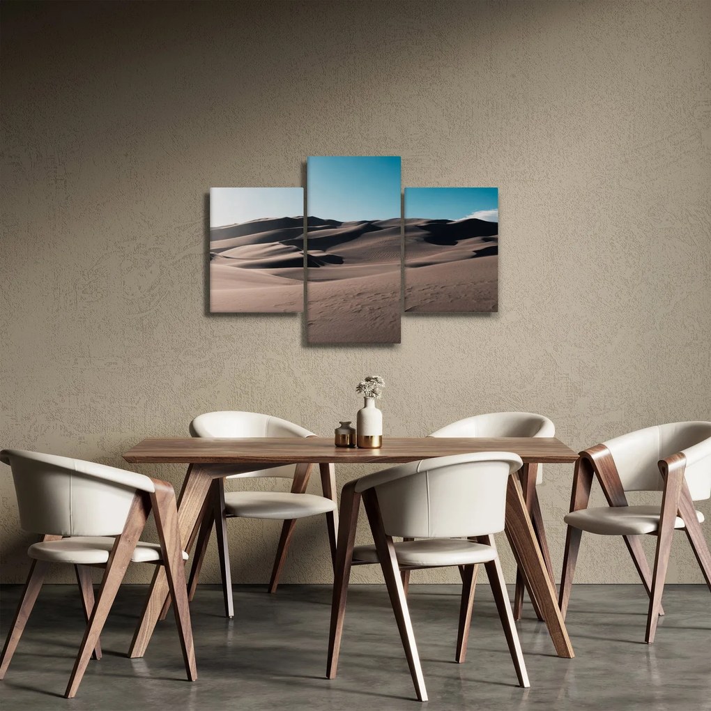 Obraz - Z púšte (90x60 cm)