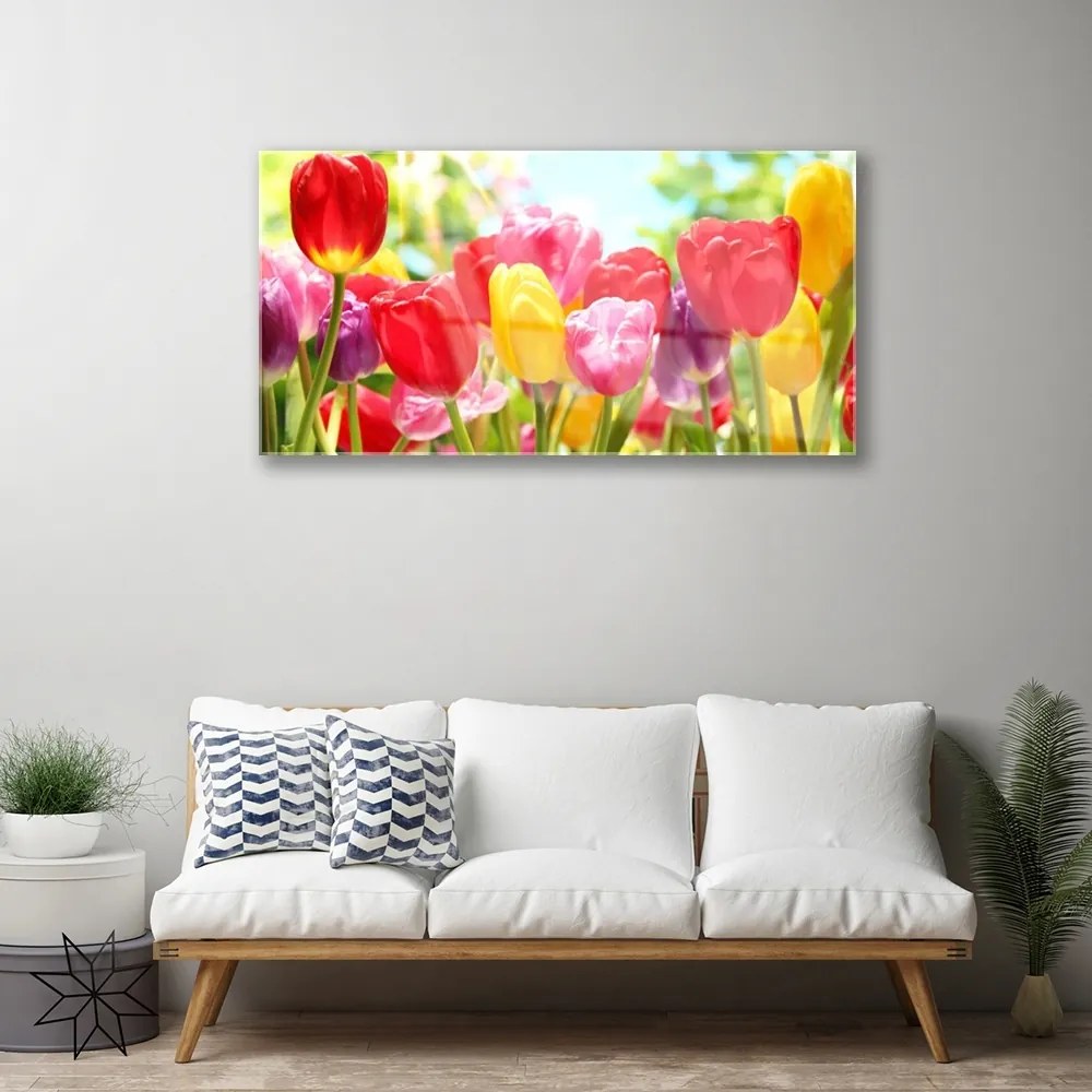 Obraz plexi Tulipány kvety rastlina 100x50 cm