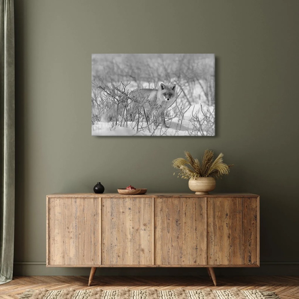 Obraz - Lišiak, čiernobiela (90x60 cm)