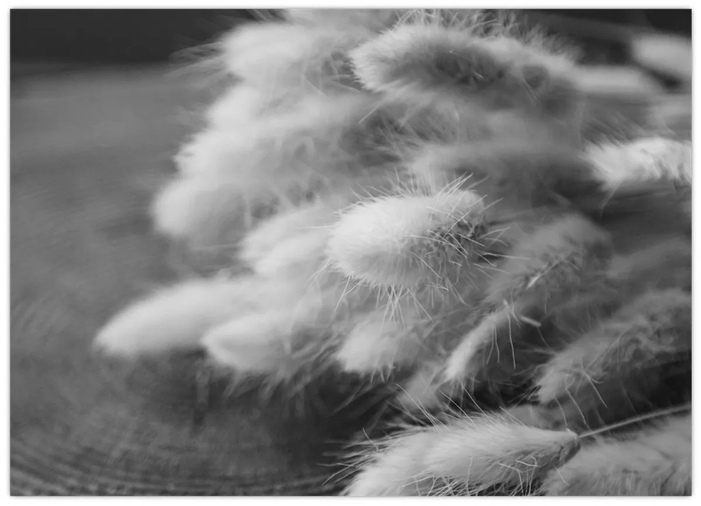 Sklenený obraz - bunny tail grass na stole (70x50 cm)