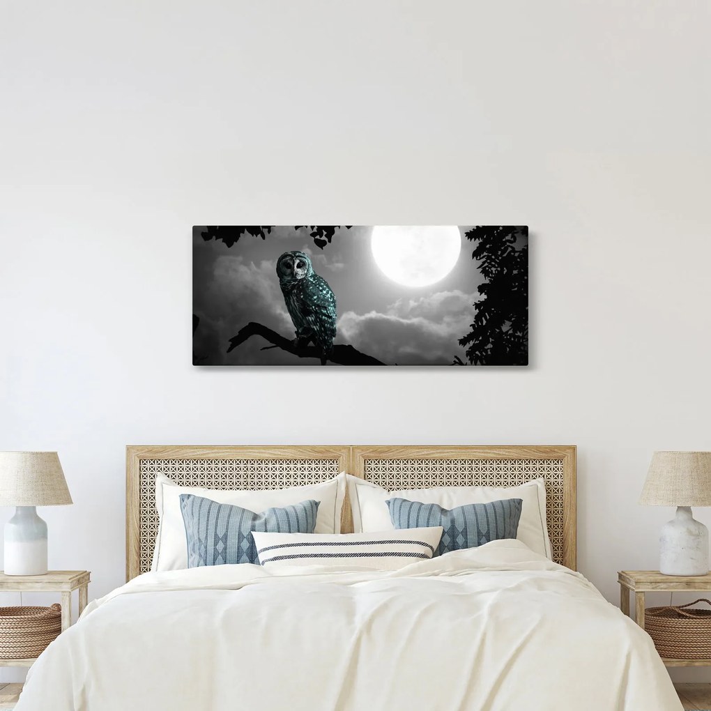 Obraz - Nočná sova, modrá (120x50 cm)