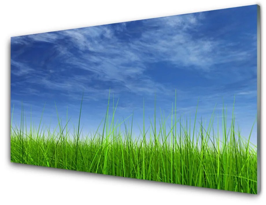 Nástenný panel  Nebo tráva príroda 100x50 cm