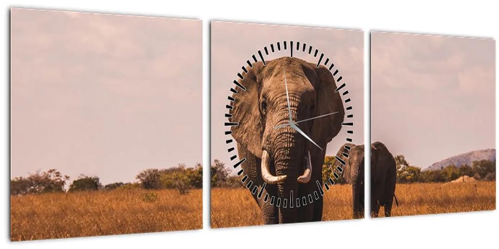 Obraz - Príchod slona (s hodinami) (90x30 cm)