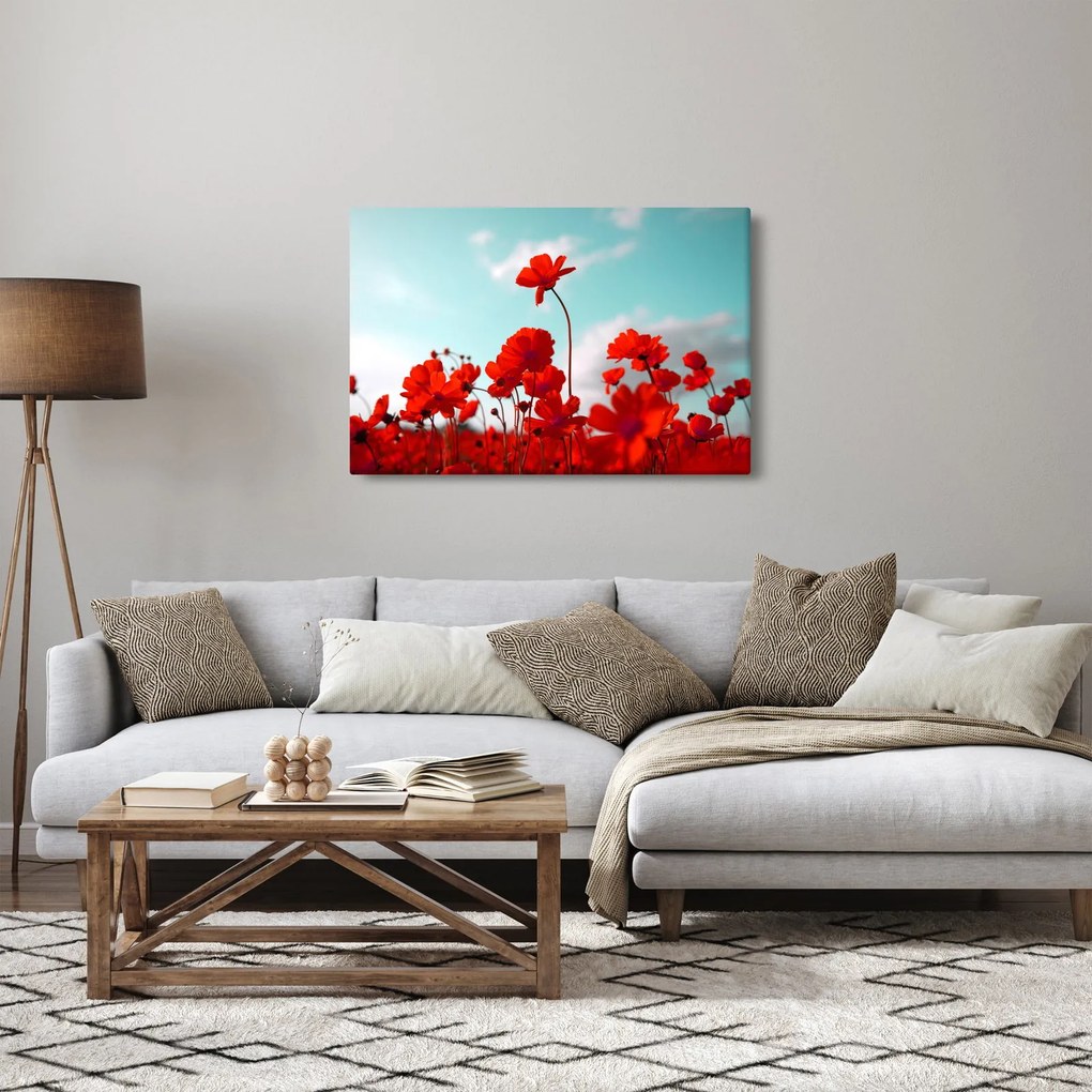 Obraz poľa s jasne červenými kvetmi (90x60 cm)