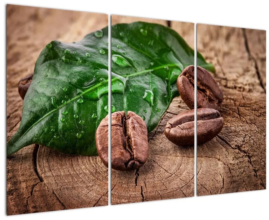 Kávové zrná - obraz na stenu