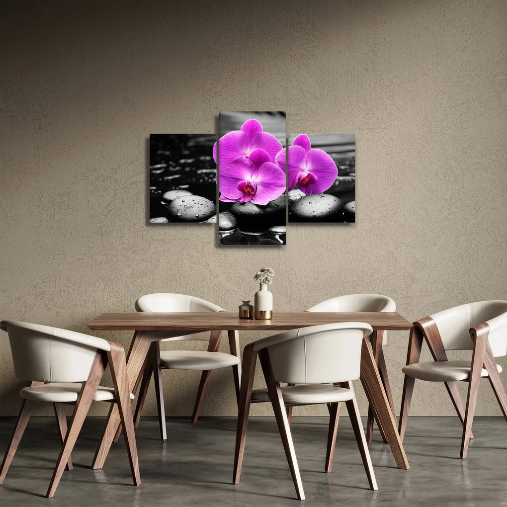 Obraz - Fialové orchidey (90x60 cm)