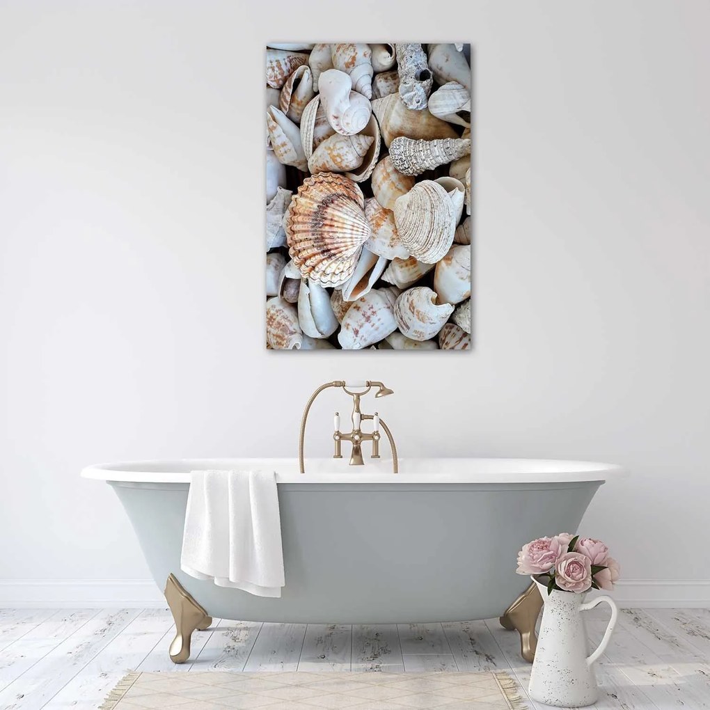 Gario Plagát Detailný záber na mušle Farba rámu: Bez rámu, Rozmery: 40 x 60 cm