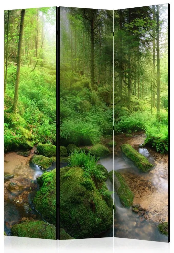 Artgeist Paraván - Humid Forest [Room Dividers]