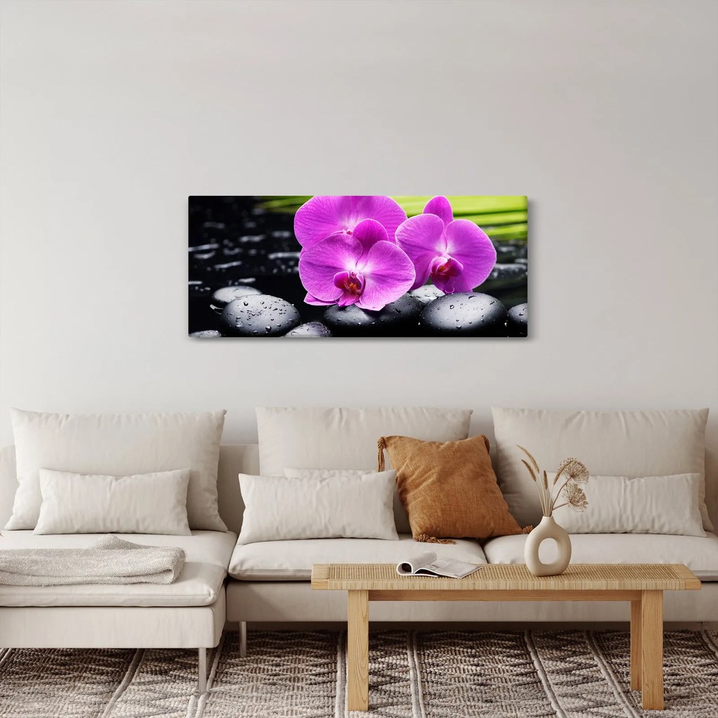 Obraz - Orchidey (120x50 cm)