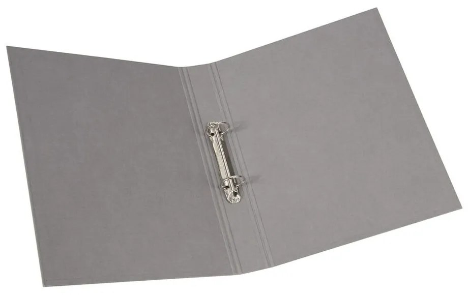 Kartónový organizér na dokumenty Ringo – Bigso Box of Sweden