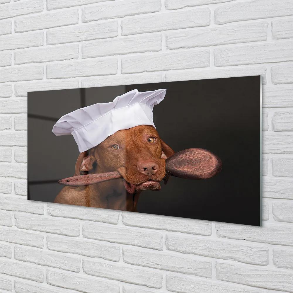 Obraz na akrylátovom skle Dog chef 100x50 cm