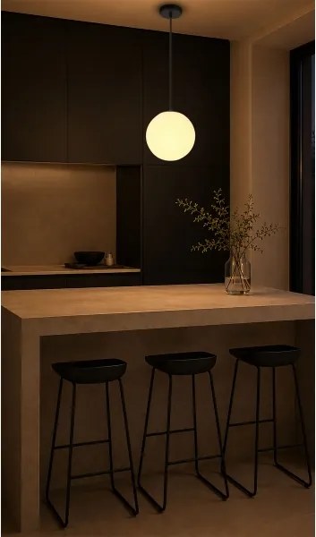 BRILAGI - Závesné svietidlo na lanku POLOS 1xE27/40W/230V pr. 20 cm čierna