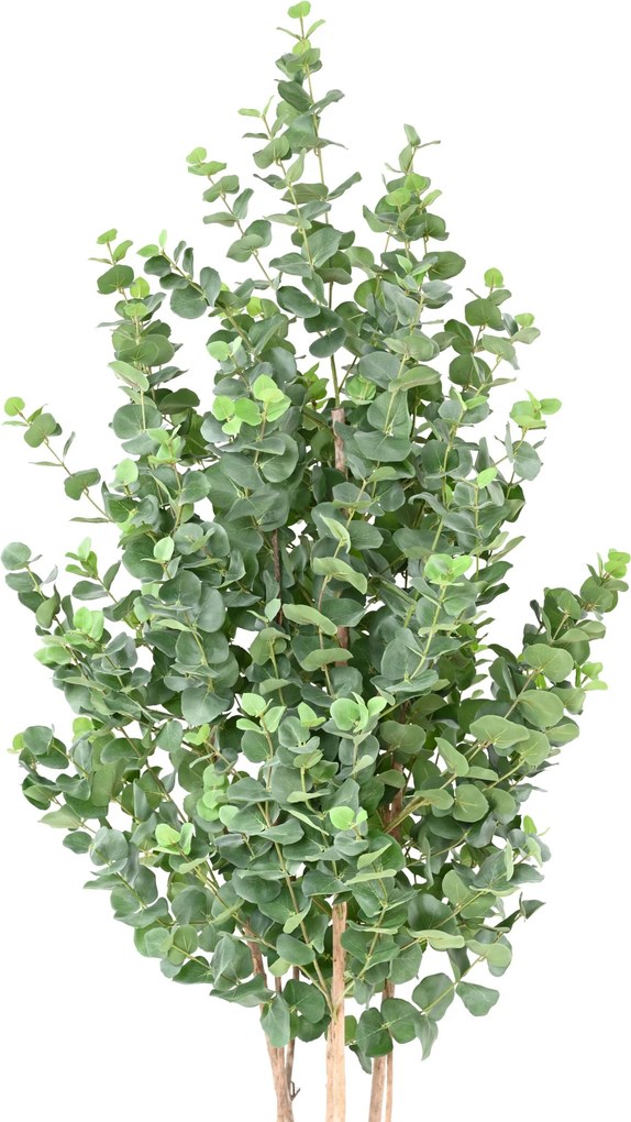 Umelý strom- Eukalyptus 180cm