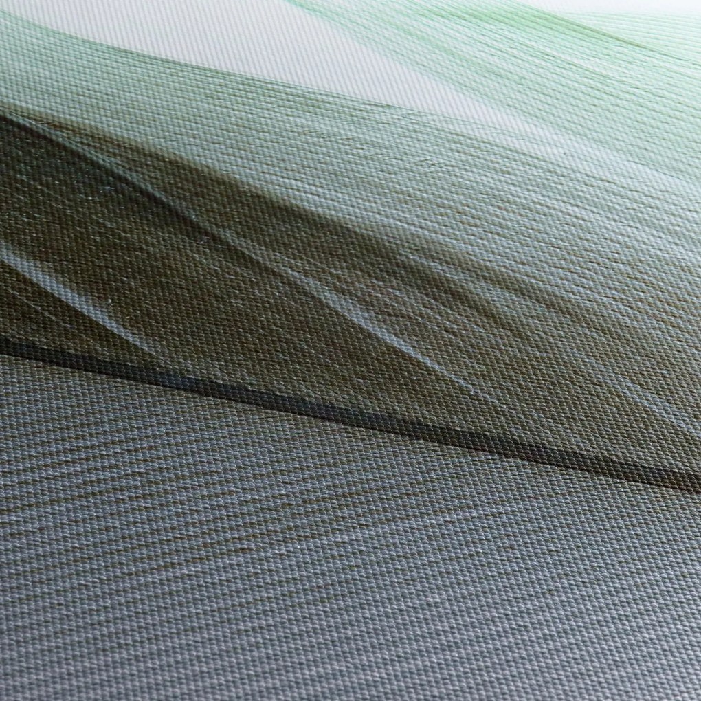 Obraz - Perie, makro (90x60 cm)