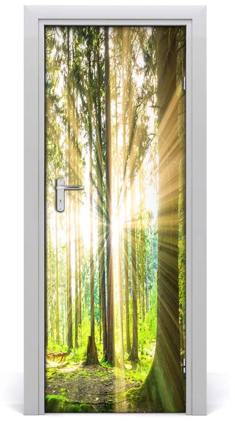 Fototapeta na dvere slnka v lese 95x205 cm