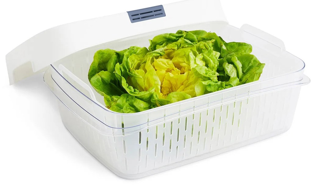 Rotho Speciální box na ovoce a zeleninu, s ventilací a filtrem, do lednice, Fridge Fresh, 6,4l - modrý