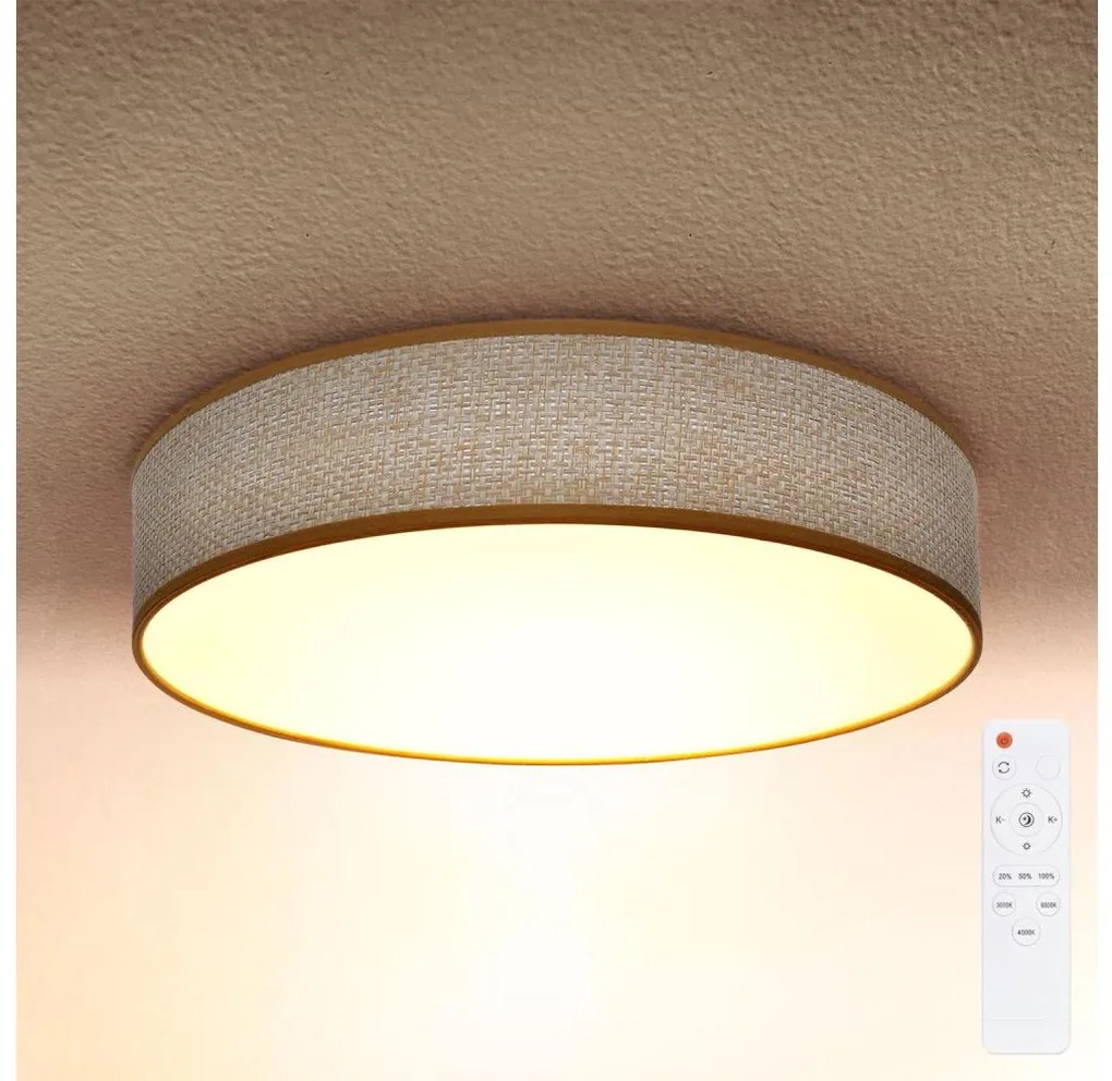 Brilagi - LED Stmievateľné stropné svietidlo CARMEN LED/48W/230V 3000-6500K + DO BG0901