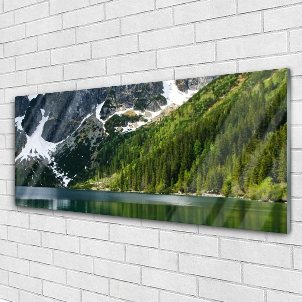 Obraz plexi Jazero les hory príroda 125x50 cm