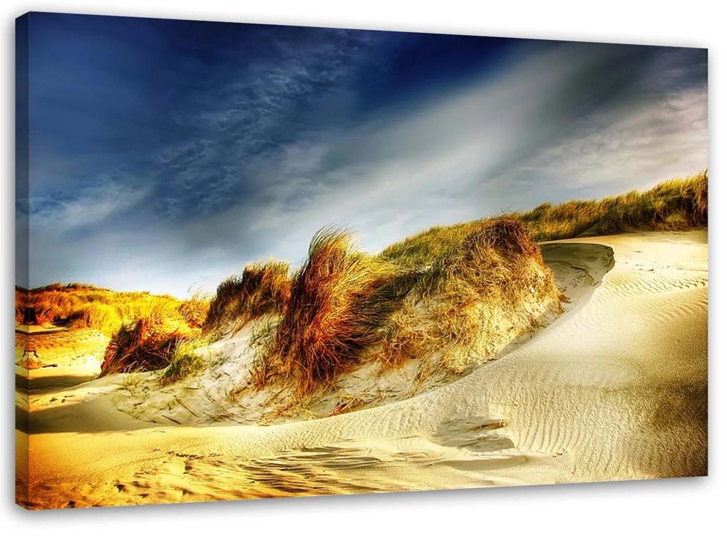 Gario Obraz na plátne Duny Rozmery: 60 x 40 cm