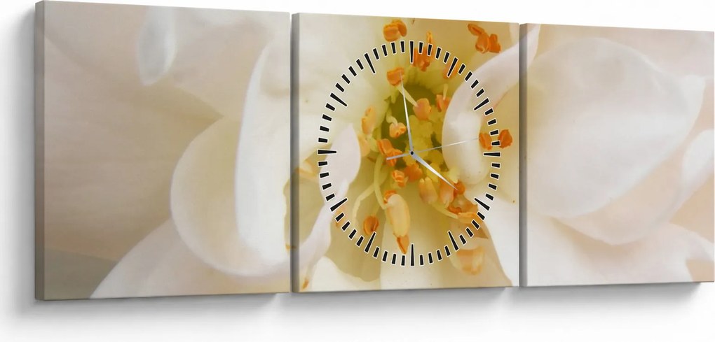 Obraz - Kvet (s hodinami) (90x30 cm)