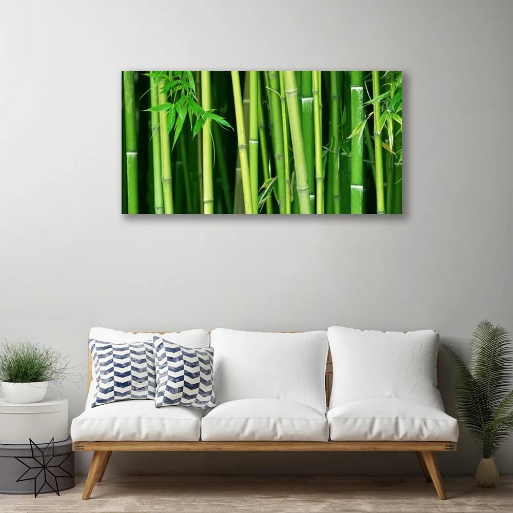 Obraz Canvas Bambusový les bambus príroda 140x70 cm