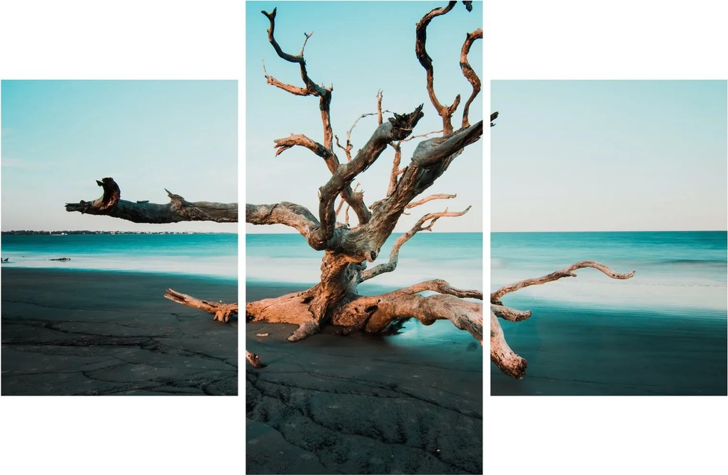 Obraz - Vyplavenie na pláži (90x60 cm)