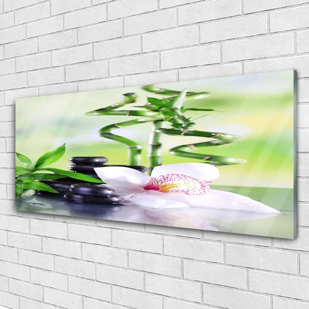 Obraz plexi Orchidea bambus zen kúpele 125x50 cm