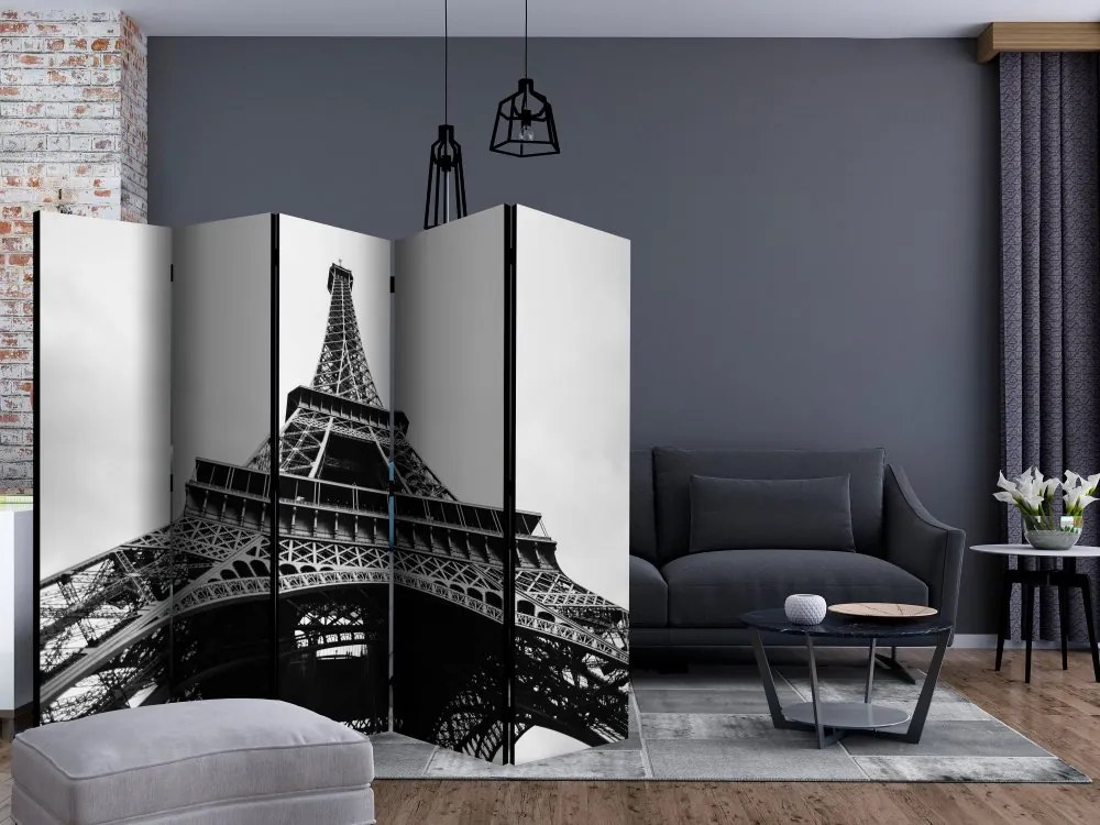 Artgeist Paraván - Paris Giant II [Room Dividers]