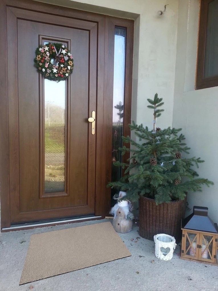 Hanse Home Collection koberce Rohožka Wash & Clean 102042 Taupe – na von aj na doma - 60x180 cm