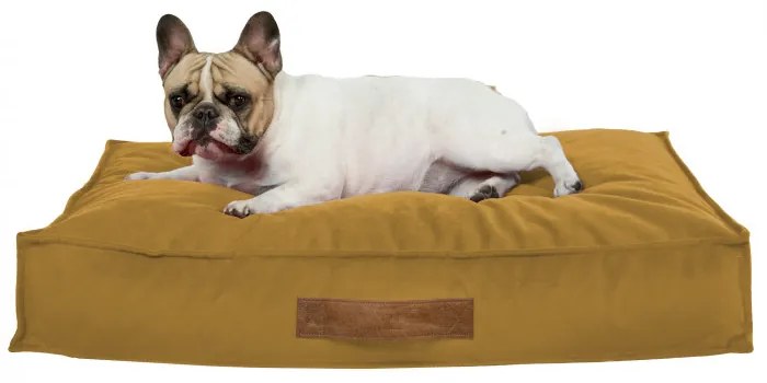 INTERMEDIC SK Obdĺžnikový peliešok pre psa Plyš – ortopedický, 3 veľkosti Farba: Béžový, Veľkosť: 50x60 cm