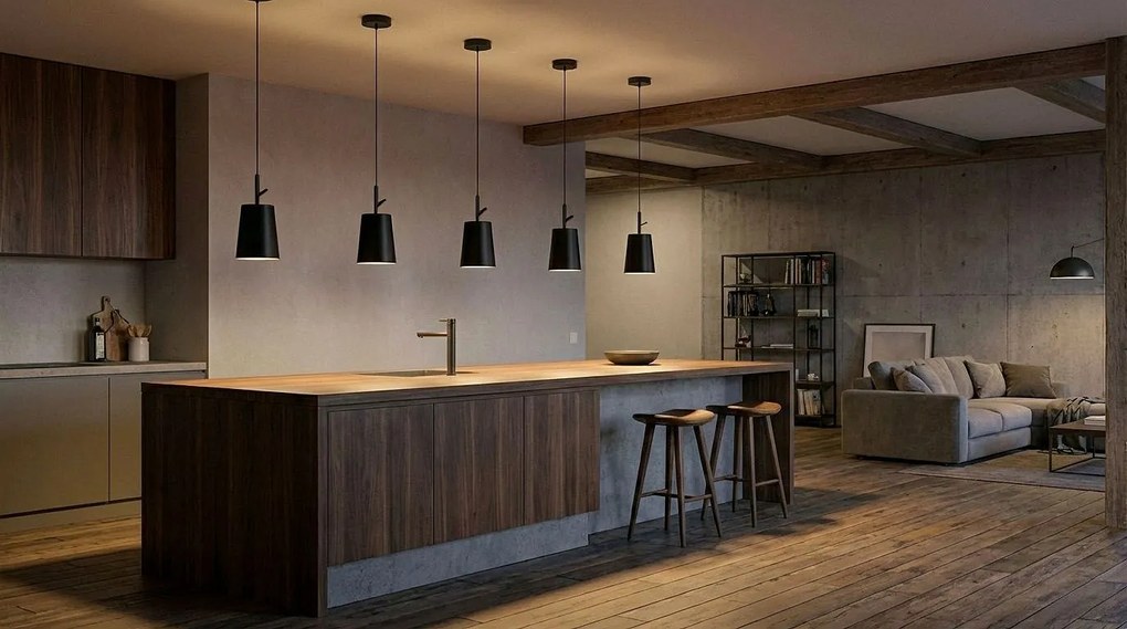 Toolight Toolight, závesné svietidlo 1xE27 APP1034-1CP, čierna, OSW-00698