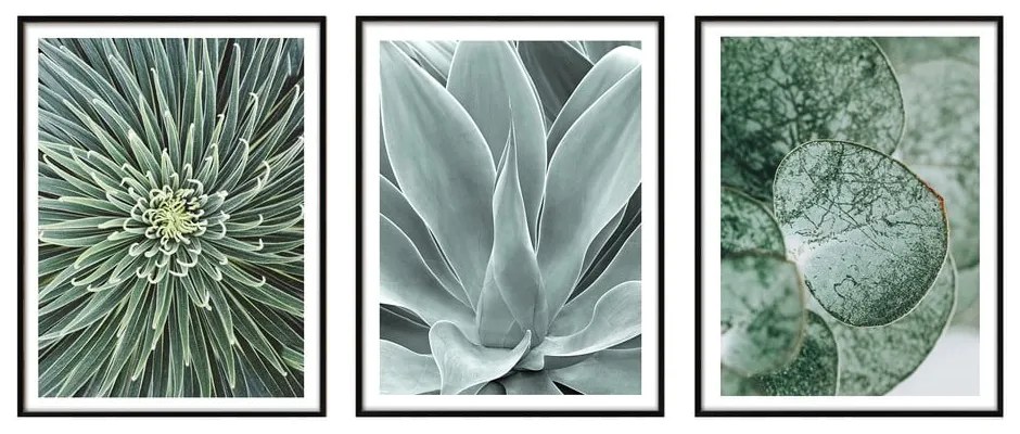 Obrazy v súprave 3 ks 30x40 cm – knor