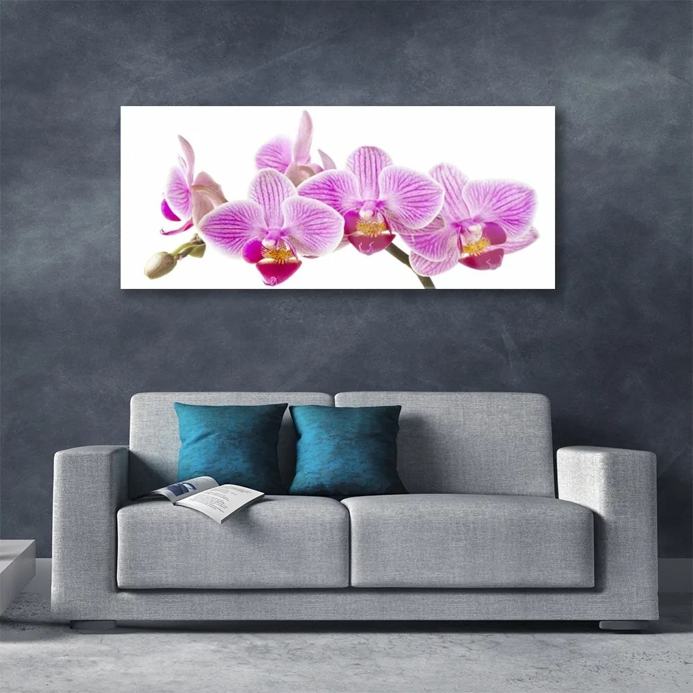 Obraz plexi Kvety rastlina príroda 125x50 cm