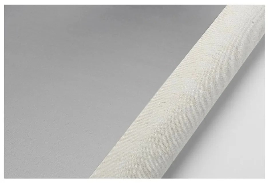 Béžová roleta 97x150 cm Mini Termo – Gardinia