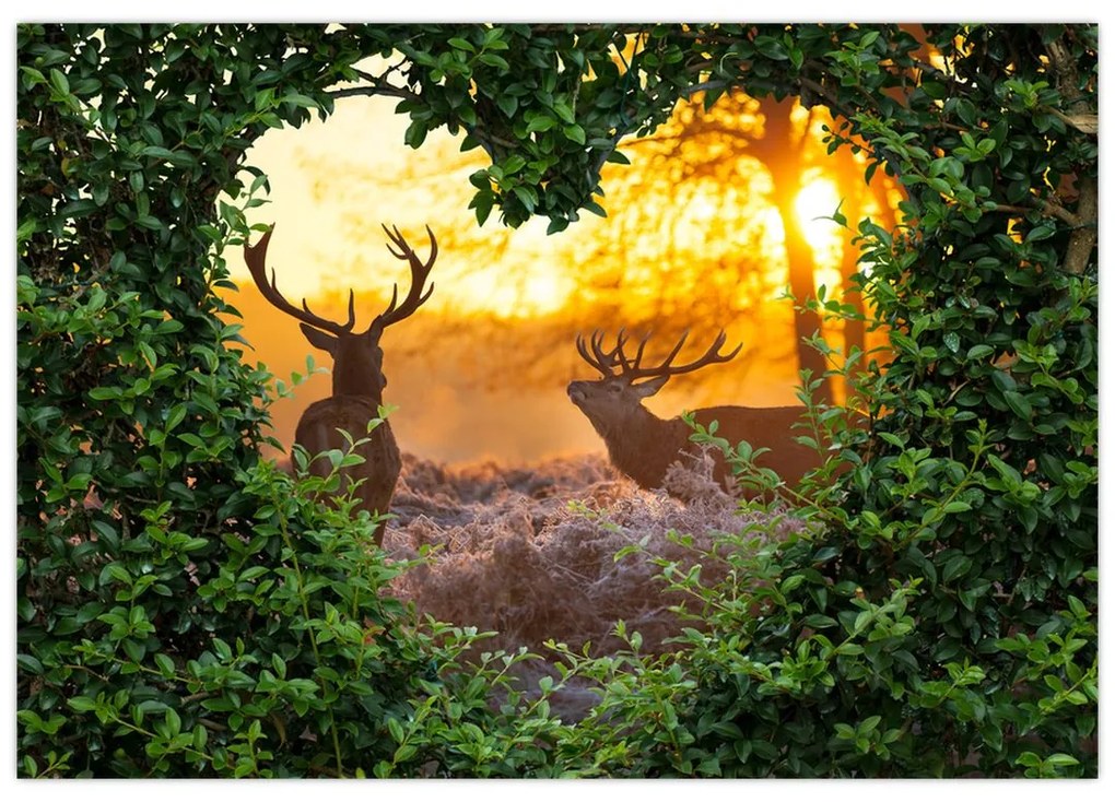 Abstraktný obraz na stenu